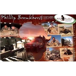 Elephant Back Photo Safari