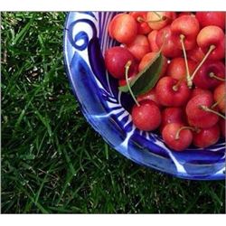 Gourment Lunch & Tour of Monson Fruit