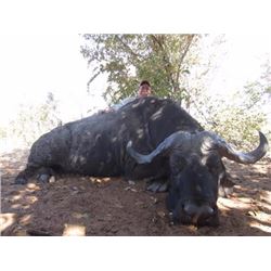 South Africa or Namibia Safari