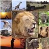 Image 1 : Photographic Safari with Hunting Option