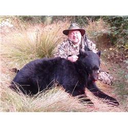 Black Bear Hunt