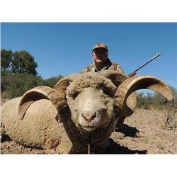 Argentina Big Game Hunt