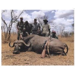 Tanzania Cape Buffalo Hunt