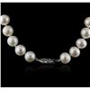 Image 2 : 14KT White Gold Pearl Necklace