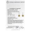 Image 5 : Platinum EGL USA Certified 2.44ctw Fancy Yellow Diamond Earrings