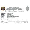 Image 2 : 13.12ctw Cabochon Paraiba Tourmaline Parcel