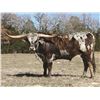 Image 1 : DONATION LOT - DRAG NET SEMEN