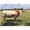 Image 1 : HL RAMBLIN REBA