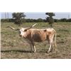 Image 1 : PRETTY PICABO OF PALO PINTO