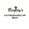 Image 1 : LEFT BLANK INTENTIONALLY