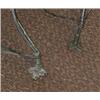 Image 4 : Pair of Wire Chairs, Two very good wire chairs from the late 1800s. Note that the backs have sl...