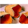 Set of Three Light Shades, These three cloth covered paneled light shades measure 4.75" high an...
