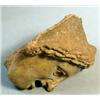 Image 3 : Old Terra Cotta Head, This terra cotta head is possibly from Roman times. It measures and is in...