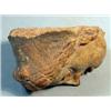 Image 4 : Old Terra Cotta Head, This terra cotta head is possibly from Roman times. It measures and is in...