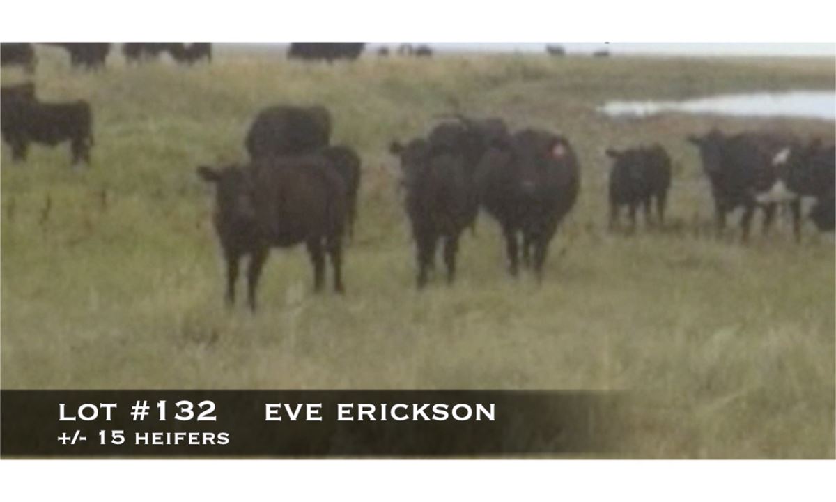 Eve Erickson, Consul, Saskatchewan