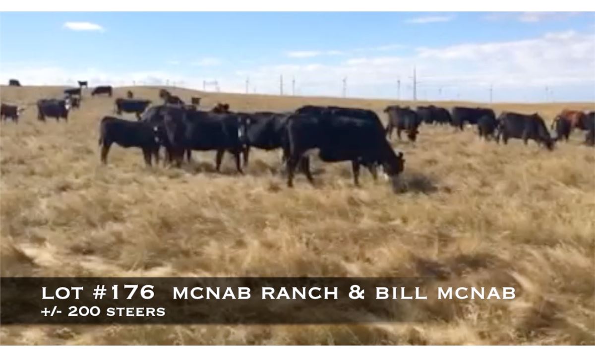 McNab Ranch & Bill McNab, Fort Macleod Ab.