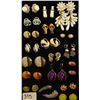 Image 1 : 19 PAIRS OF CLIP ON EARRINGS