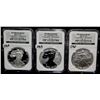 Image 2 : 2006 W - 20TH ANNIVERSARY SILVER EAGLE 3-COIN SET