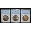 Image 2 : THREE NNC GRADED PEACE DOLLARS