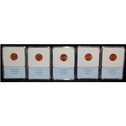 FIVE GRADED NNC MS67 RED LINCOLN CENTS