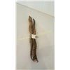 Image 1 : Gazelle Antlers