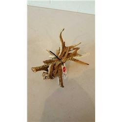 White Tail Deer Antlers #77