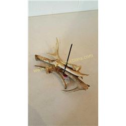 White Tail Deer Antlers #85