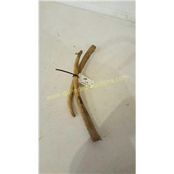 Red Deer Antlers #8