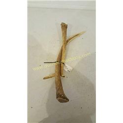 Red Deer Antlers #19