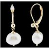 Image 2 : 14KT Yellow Gold Pearl Earrings
