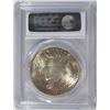 Image 4 : 1924 PEACE DOLLAR PCGS MS-64+