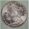 Image 2 : 1885-O MORGAN SILVER DOLLAR, NTC MS-65 GEM