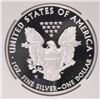 Image 3 : 2010-W PROOF SILVER AMERICAN EAGLE NGC PF-69 UC (EARLY RELEASE)