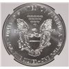 Image 3 : 2011 (S) SILVER AMERICAN EAGLE NGC MS-69