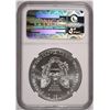 Image 4 : 2011 (S) SILVER AMERICAN EAGLE NGC MS-69