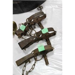 3 - Oneida #1 Spring Traps (choice)