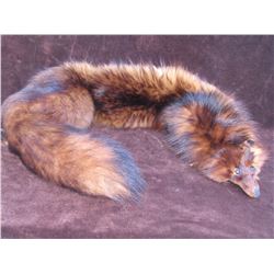 2 European Fox Pelts