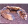 Image 1 : 2 European Fox Pelts