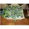 Image 1 : DECORATIVE PLANT HOLDERS W/ PLANTS 2X MONEY