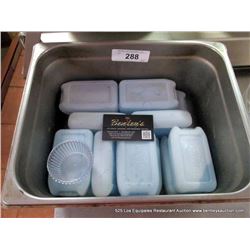 FOOD PAN W/ BLUE ICE FREEZER PACKS