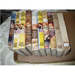 Vintage Hardy Boys (10)