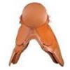 Image 2 : !NEW! English All Purpose Tan Saddle Set 16 18 [8040NB]