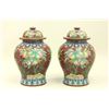 Image 1 : Pair of 20th C Cloisonne Covered Urns