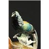 Image 2 : Karl Ens Porcelain Bird Grouping