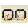 Image 7 : Limoges Porcelain Hand Painted Dessert Set