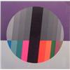 Image 1 : Eugenio Carmi (b. 1920) American, ULTRA VIOLET, 1973, color screenprint, signed in pencil, from...