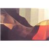 Image 1 : Eugenio Carmi (b. 1920) American, CHROMO CYNCLASMA Series, 1971, color lithograph, signed in pe...