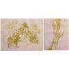 Image 1 : Contemporary School, VERTUMNUS, 1969; HIPPOLYTA, 1969, two color etchings, each signed in penci...