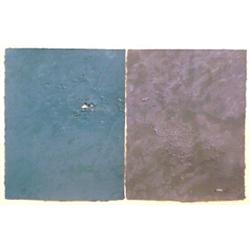 Joe Goode (b. 1937) American, UNTITLED, 1981, diptych color lithograph manipulated by artist, s...