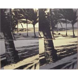 Christopher Makos (b. 1948) American, PARADISE PAINTING, 1992, four color duotone prints on can...